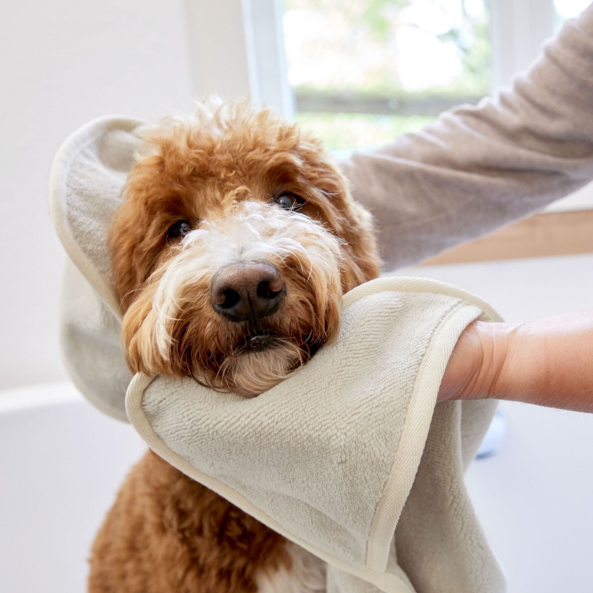 Dog Towel Kosy