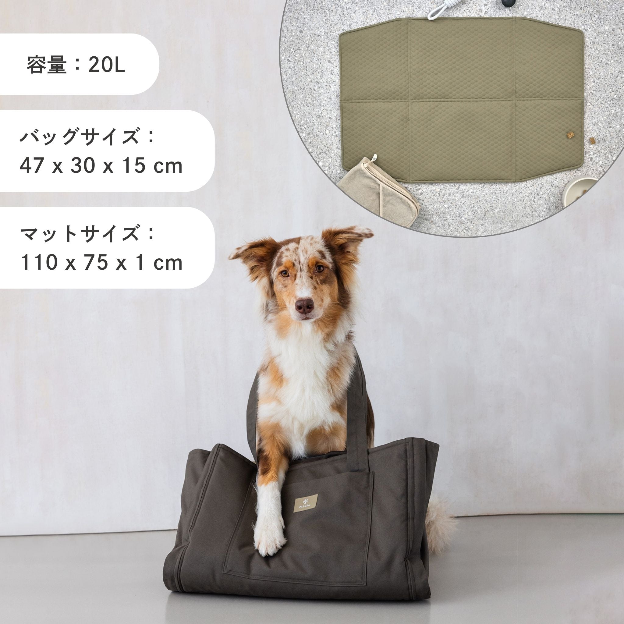 Dog Travel Bag Nobo