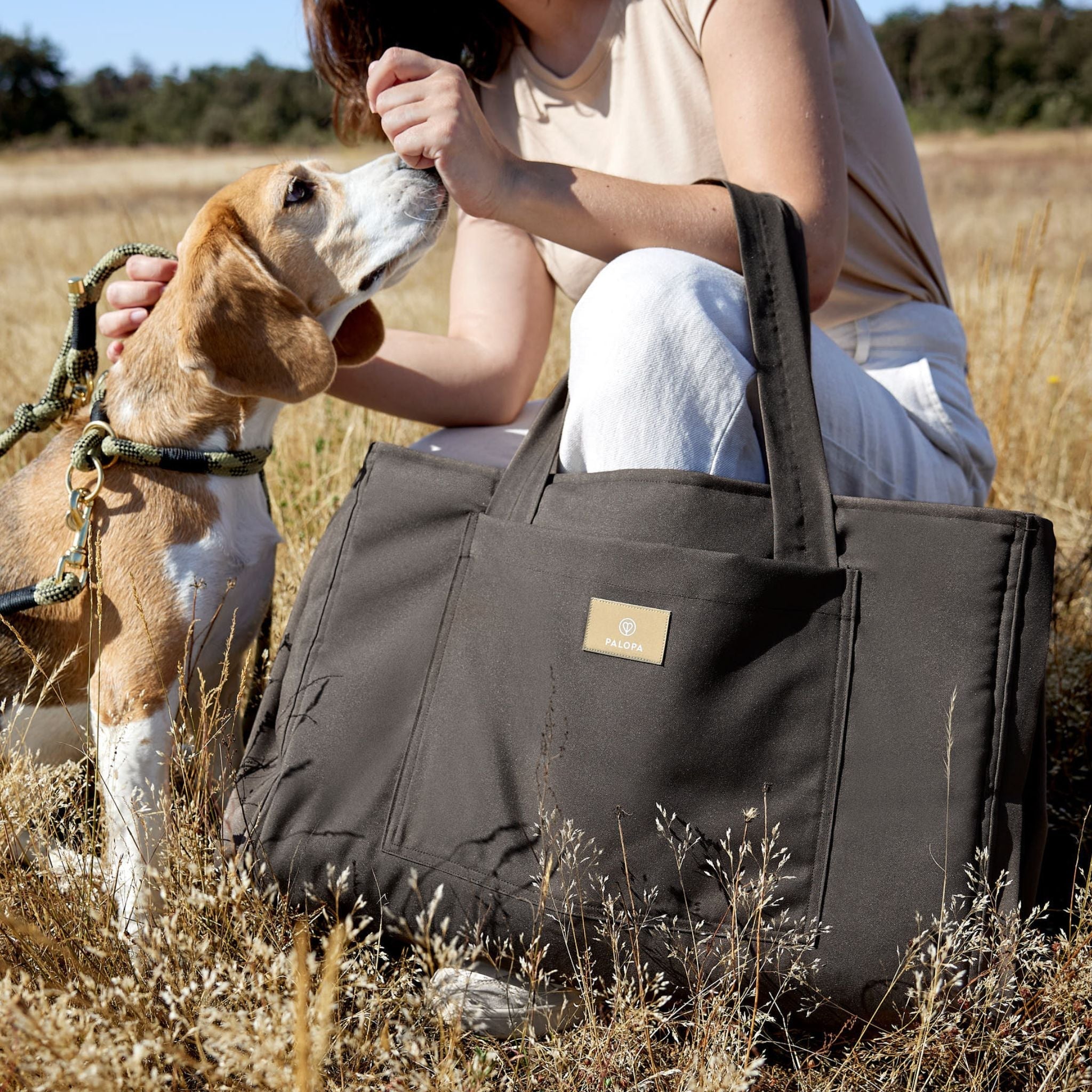 Dog Travel Bag Nobo