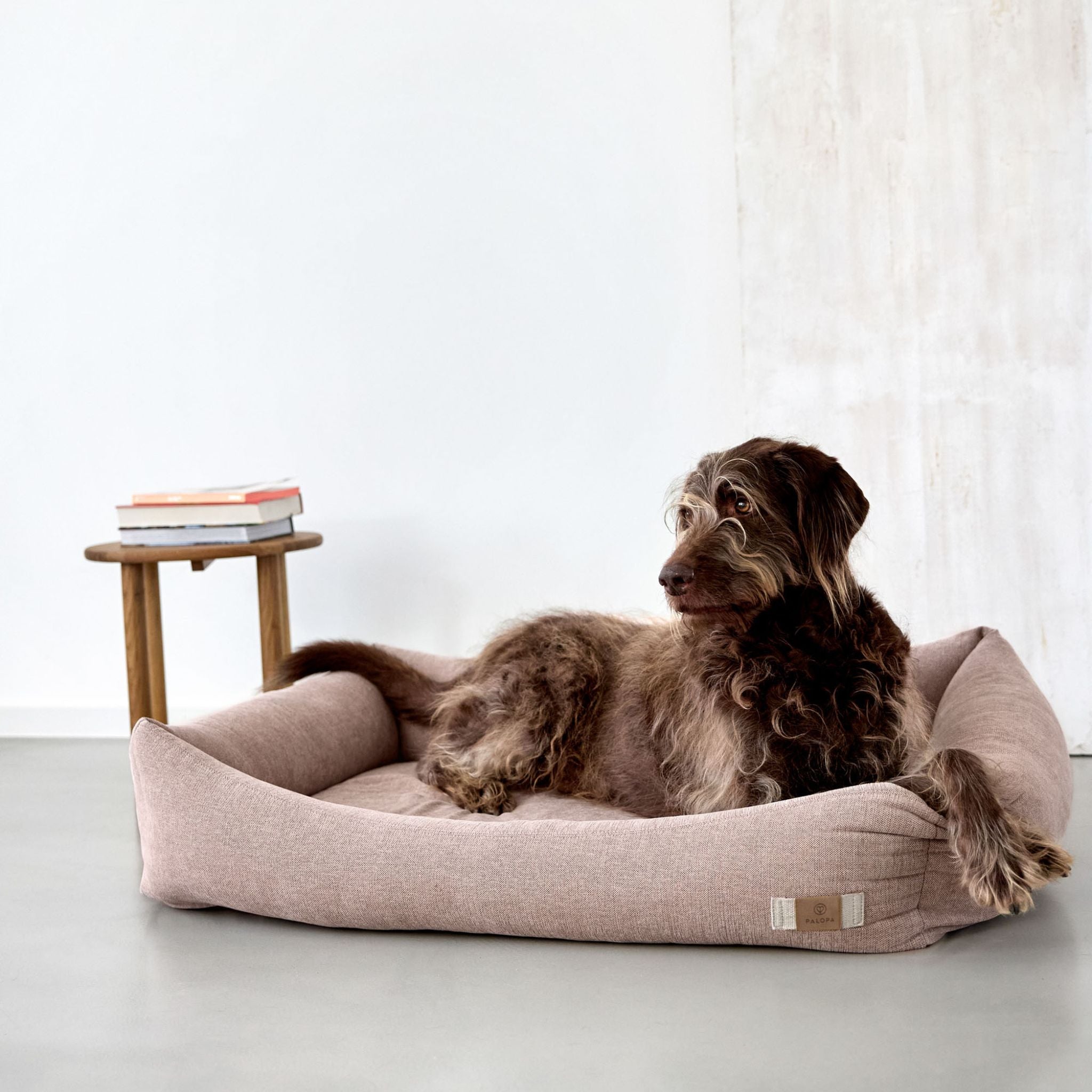 【NEW】Dog Bed Cotton
