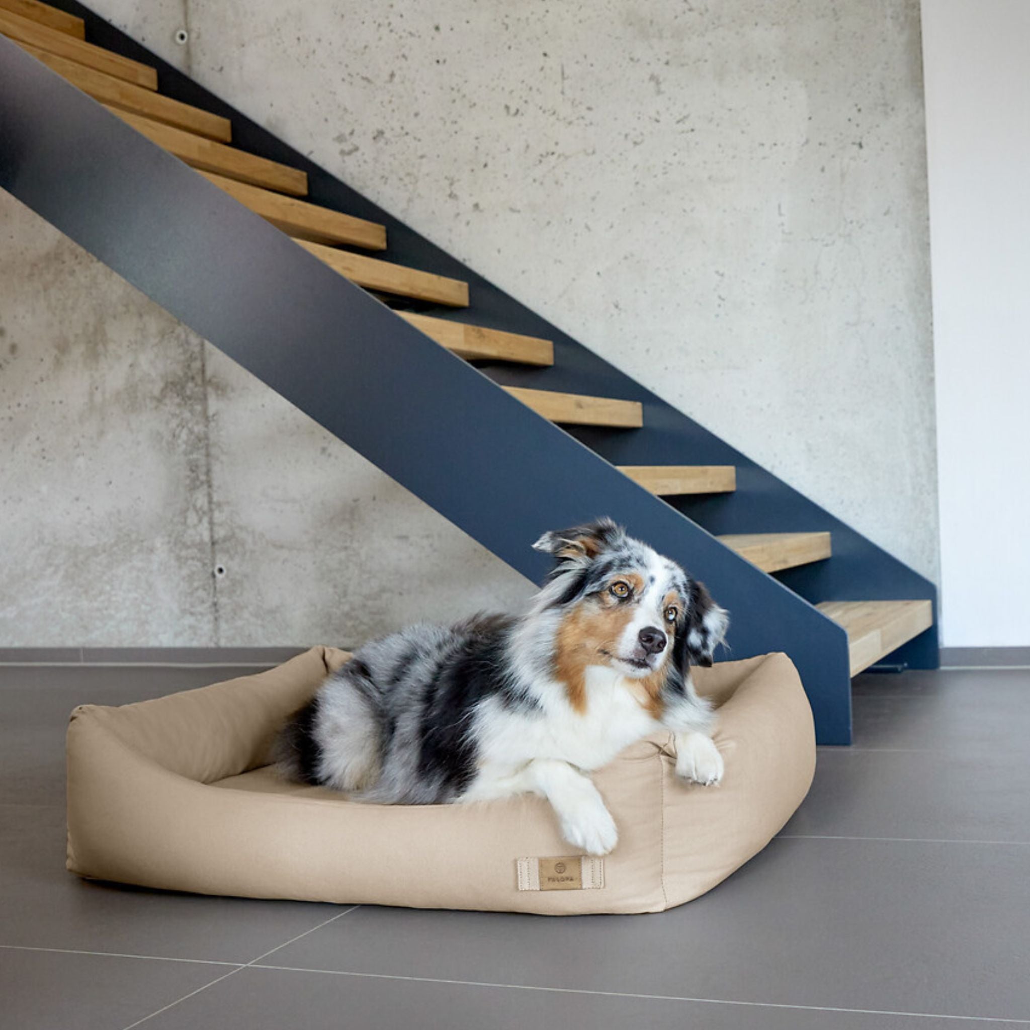Dog Bed Cotton