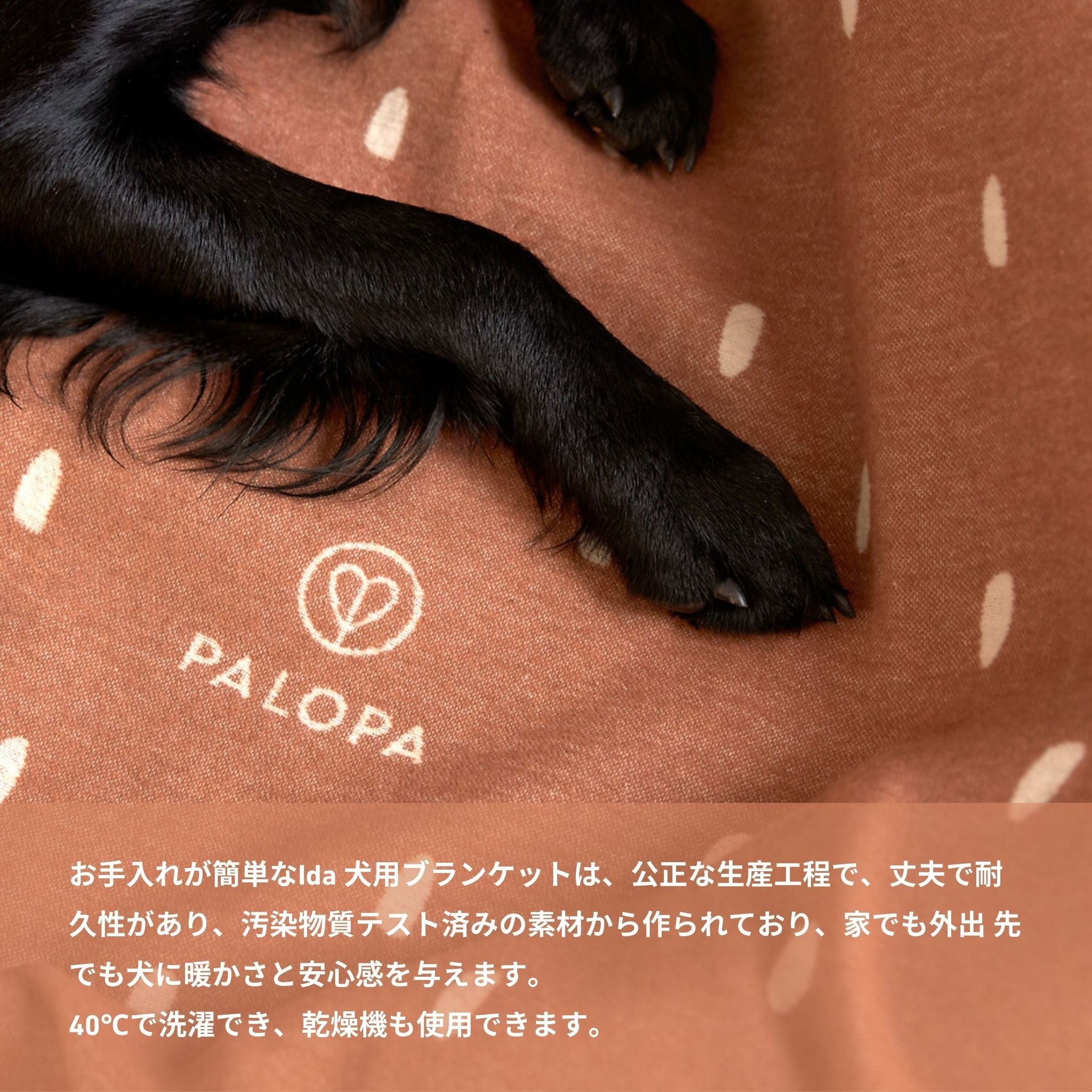 Dog Blanket Ida