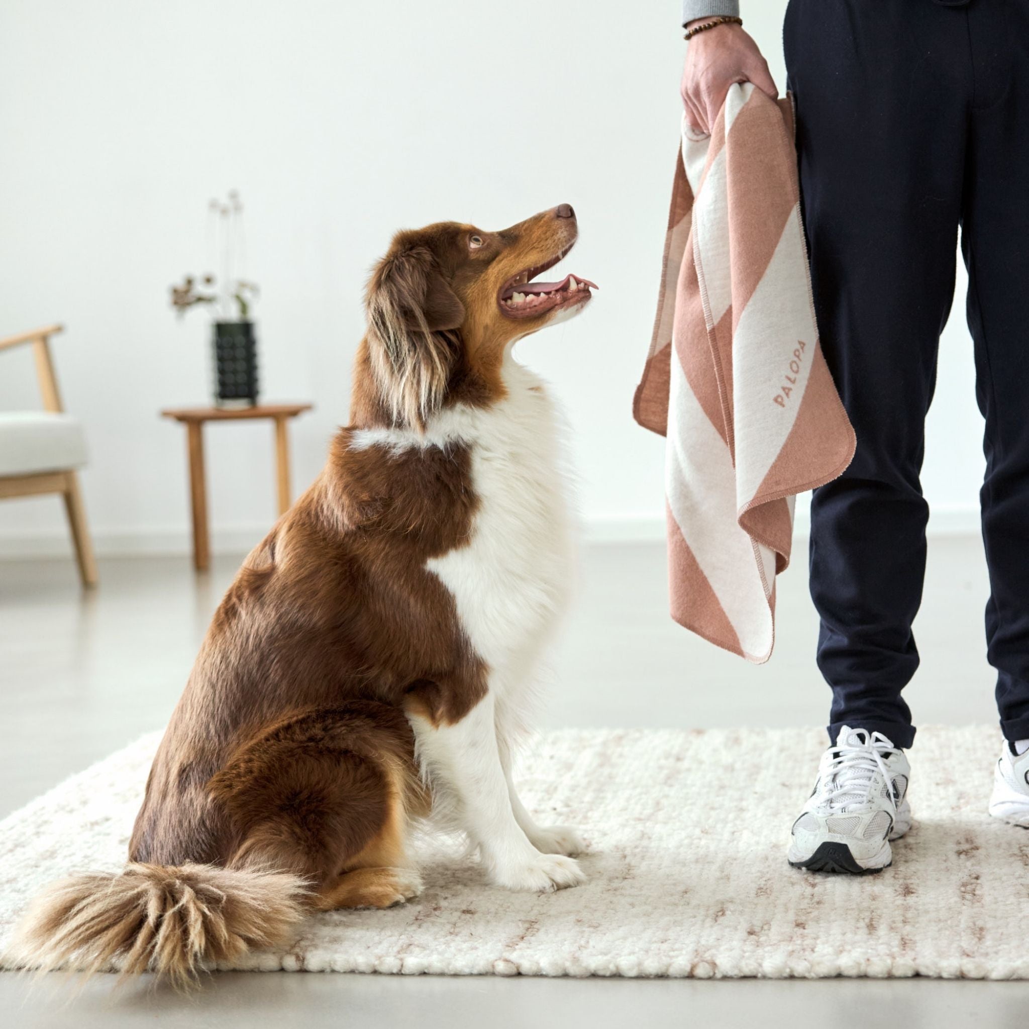 Dog Blanket Ida