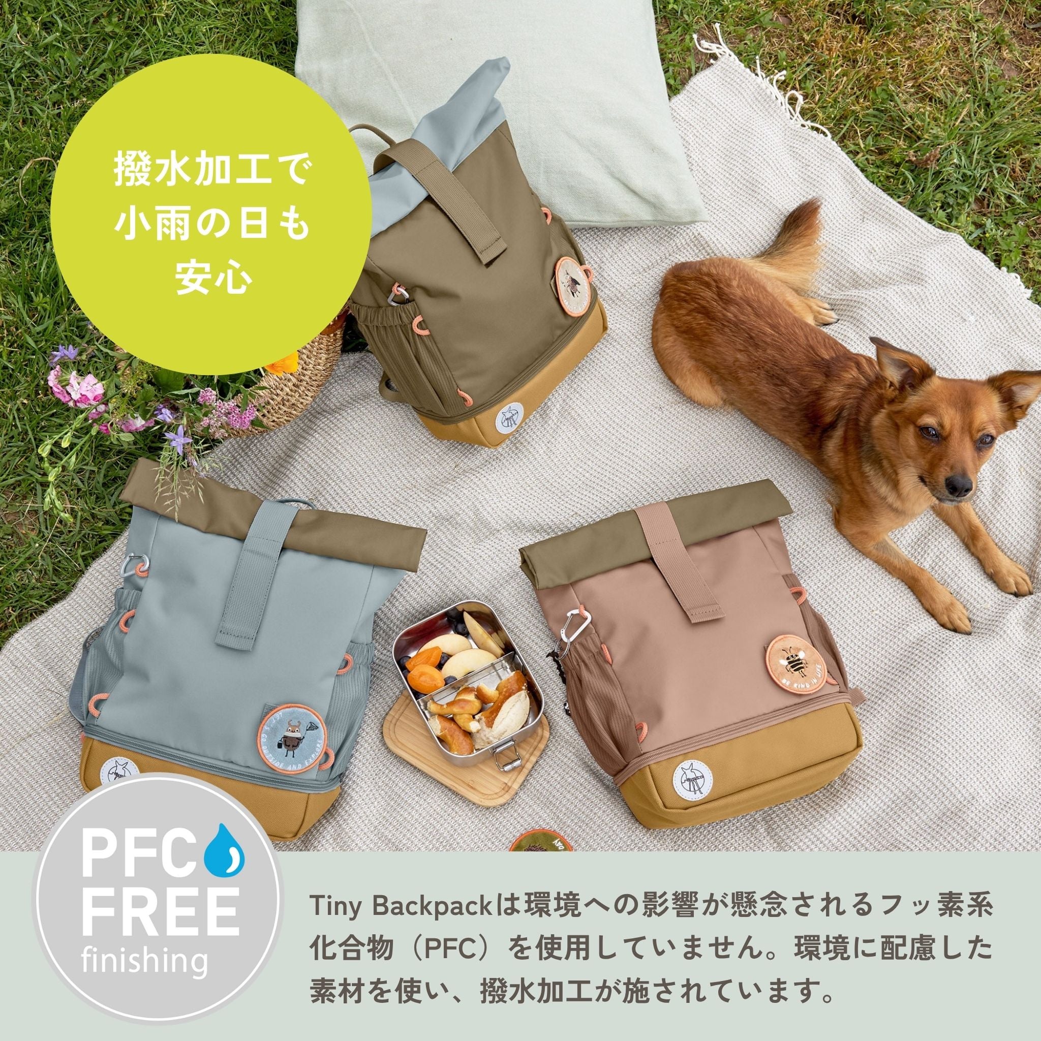 Mini Rolltop Backpack Nature
