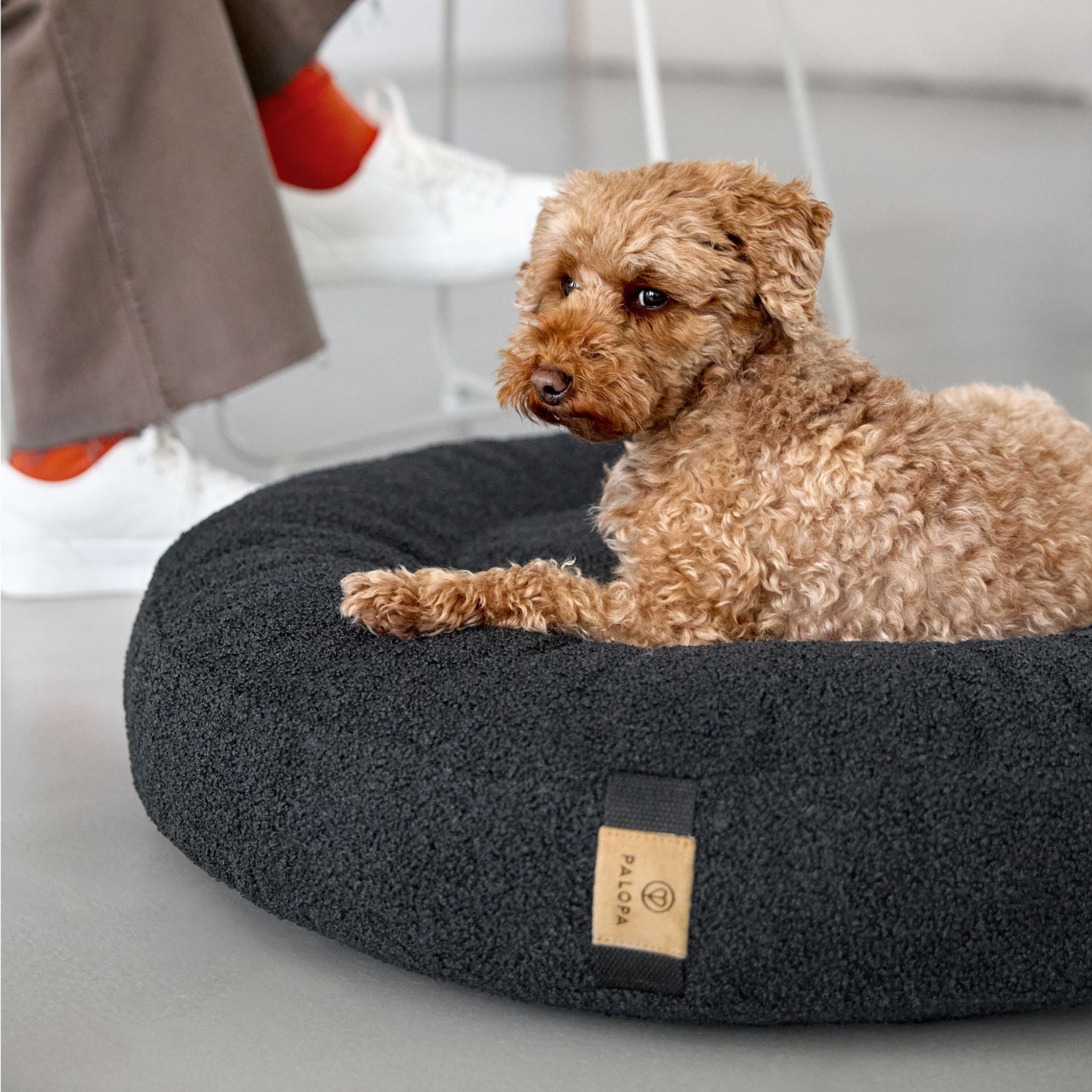 【NEW】Dog Bed Donut