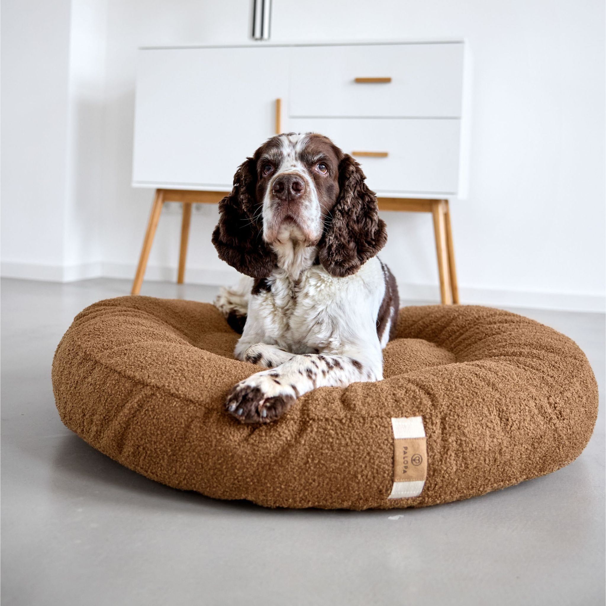 【NEW】Dog Bed Donut