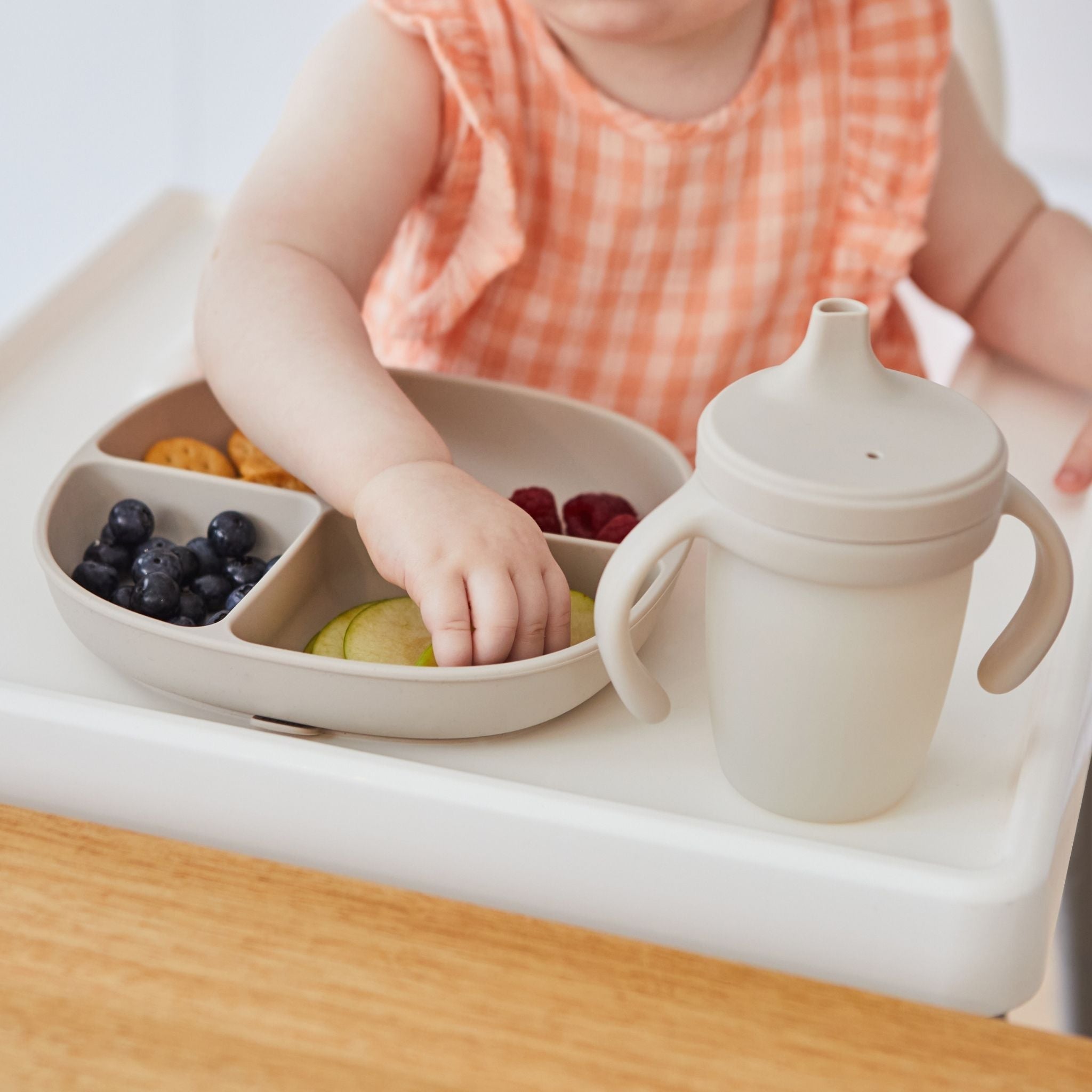 Silicone Plate + Lid