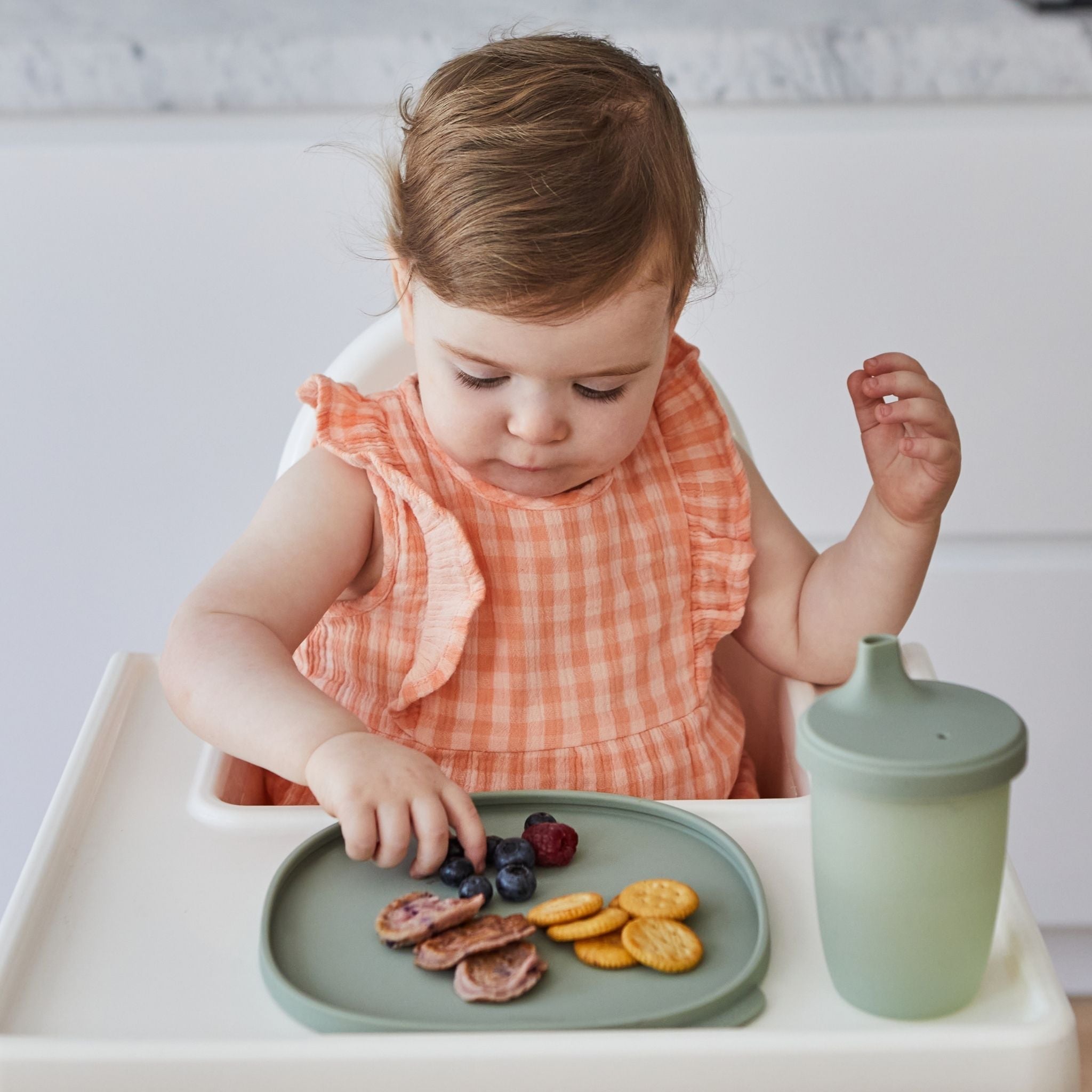 Silicone Plate + Lid