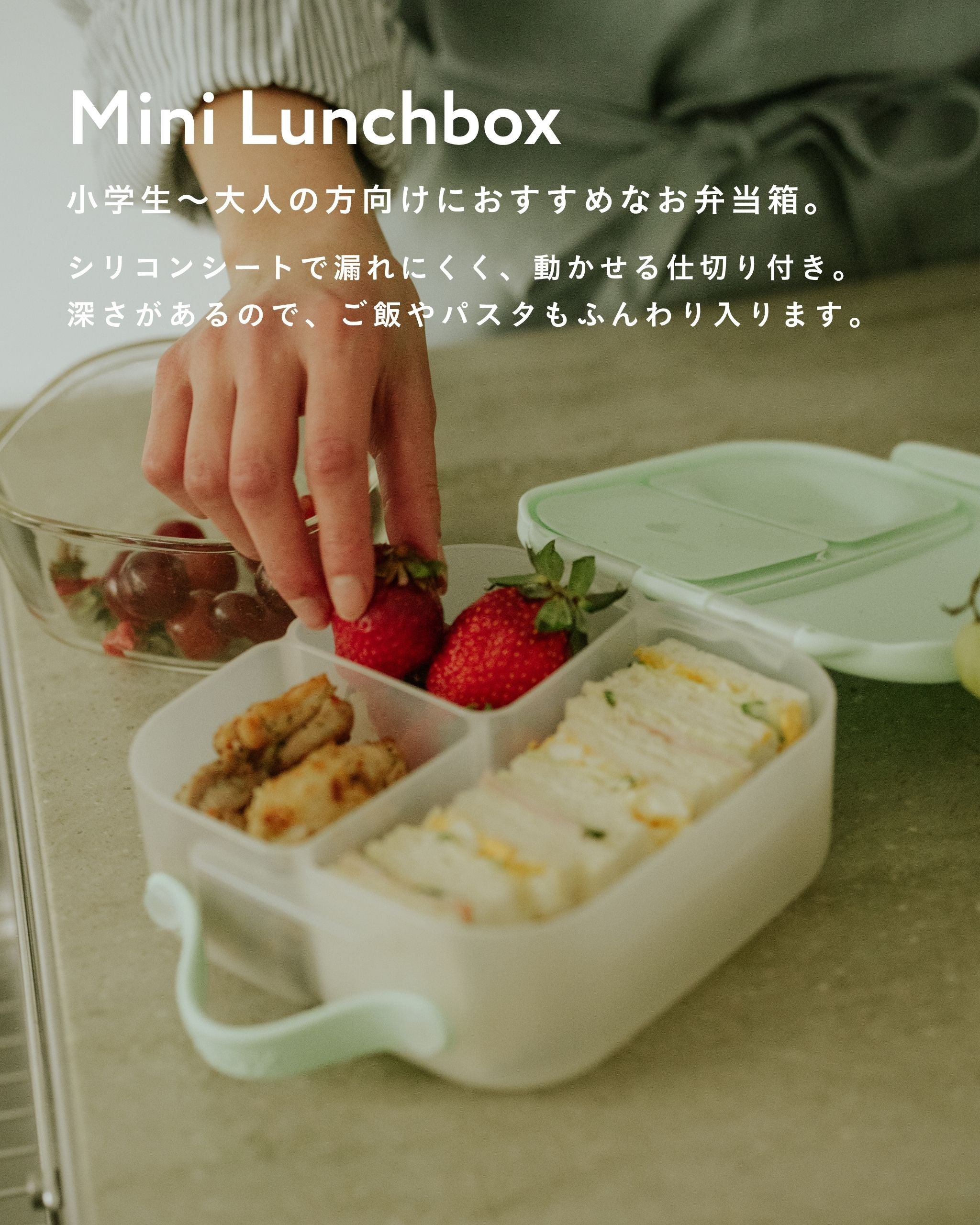 Mini Lunchbox
