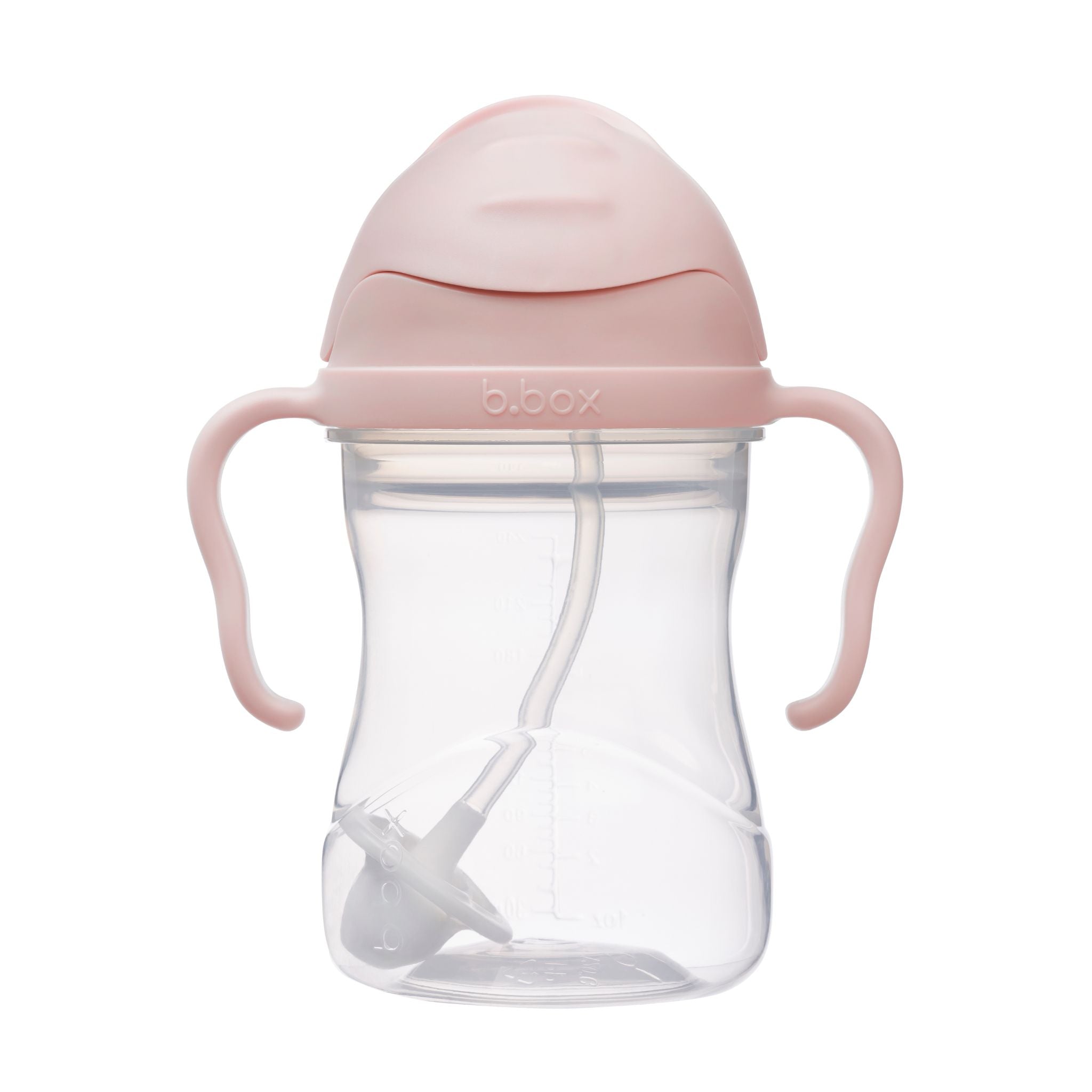 sippy cup