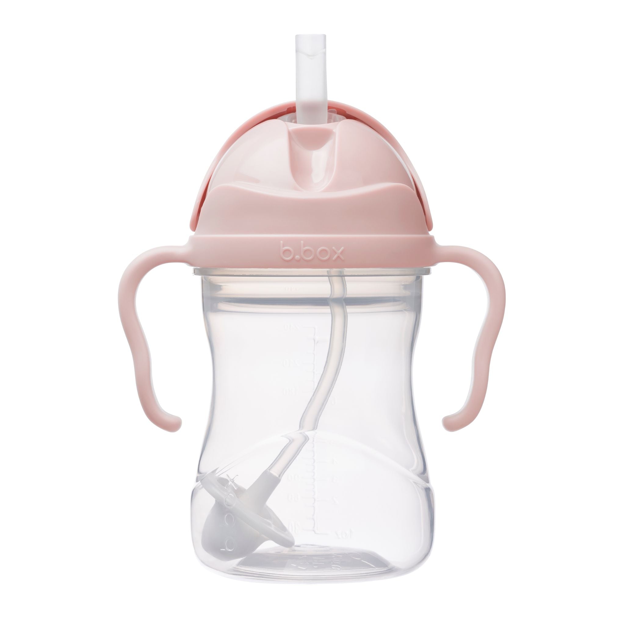 sippy cup