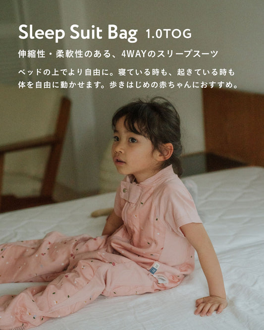 Sleep Suit Bag 1.0 TOG