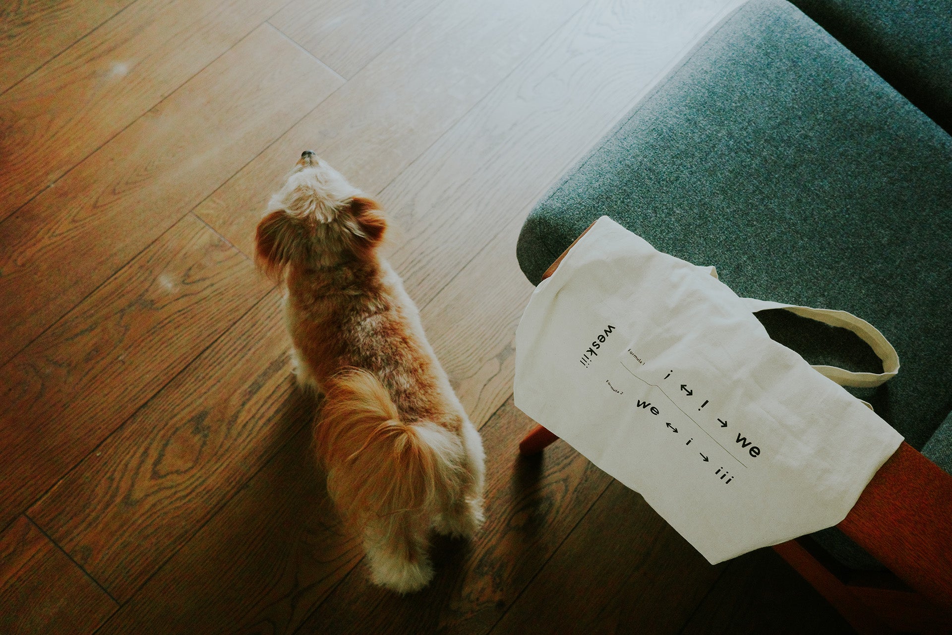 For Pets