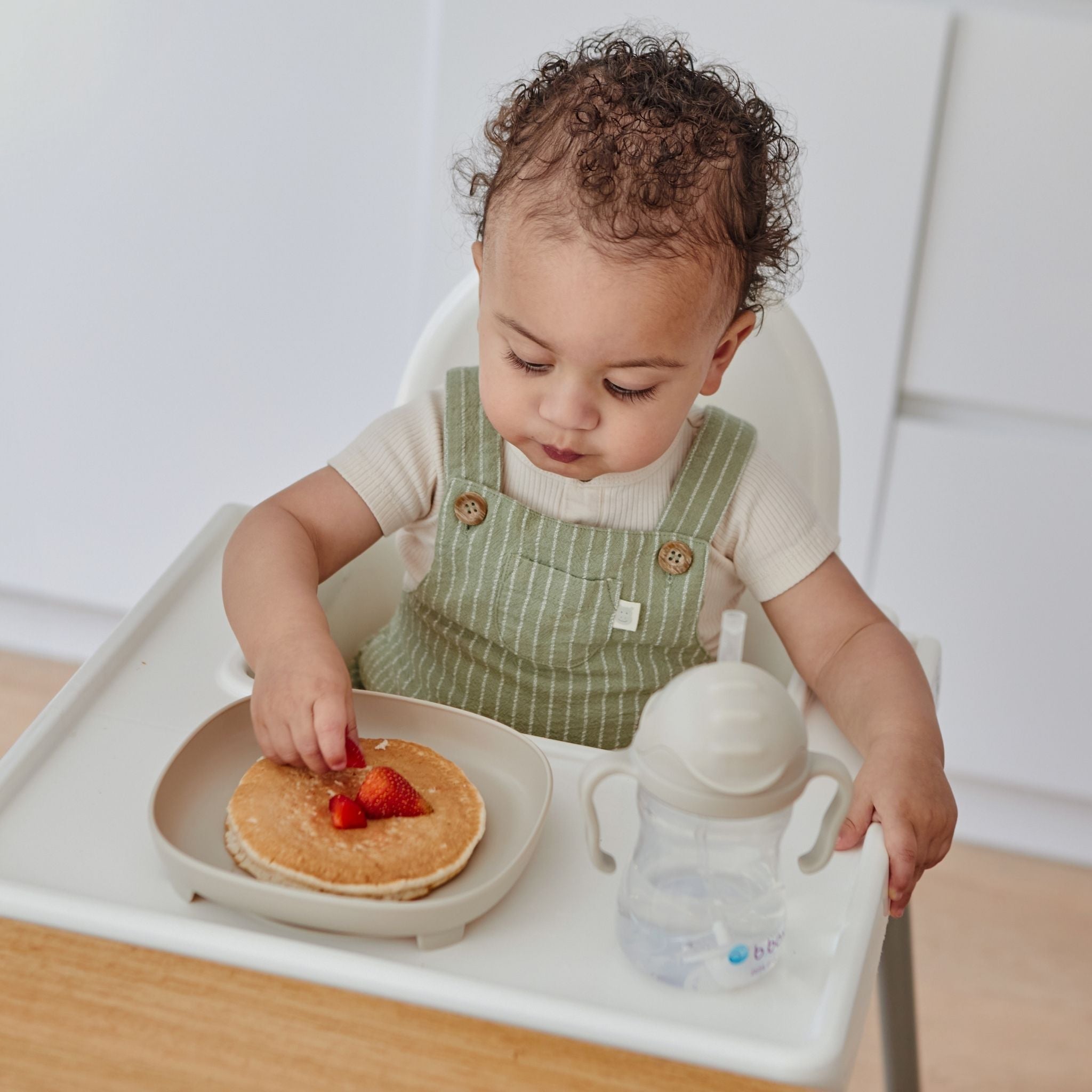 2 in 1 Suction Plate