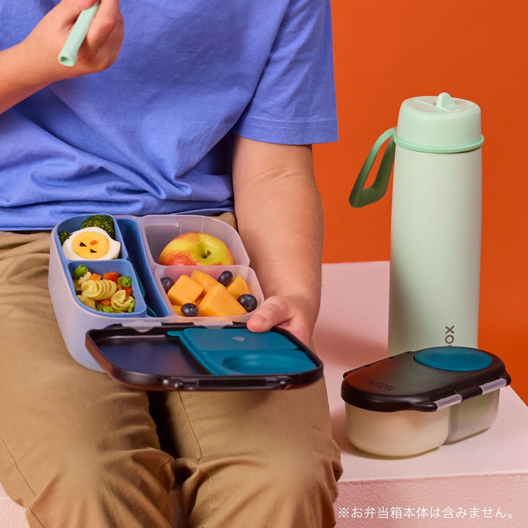 silicone bento tray mini