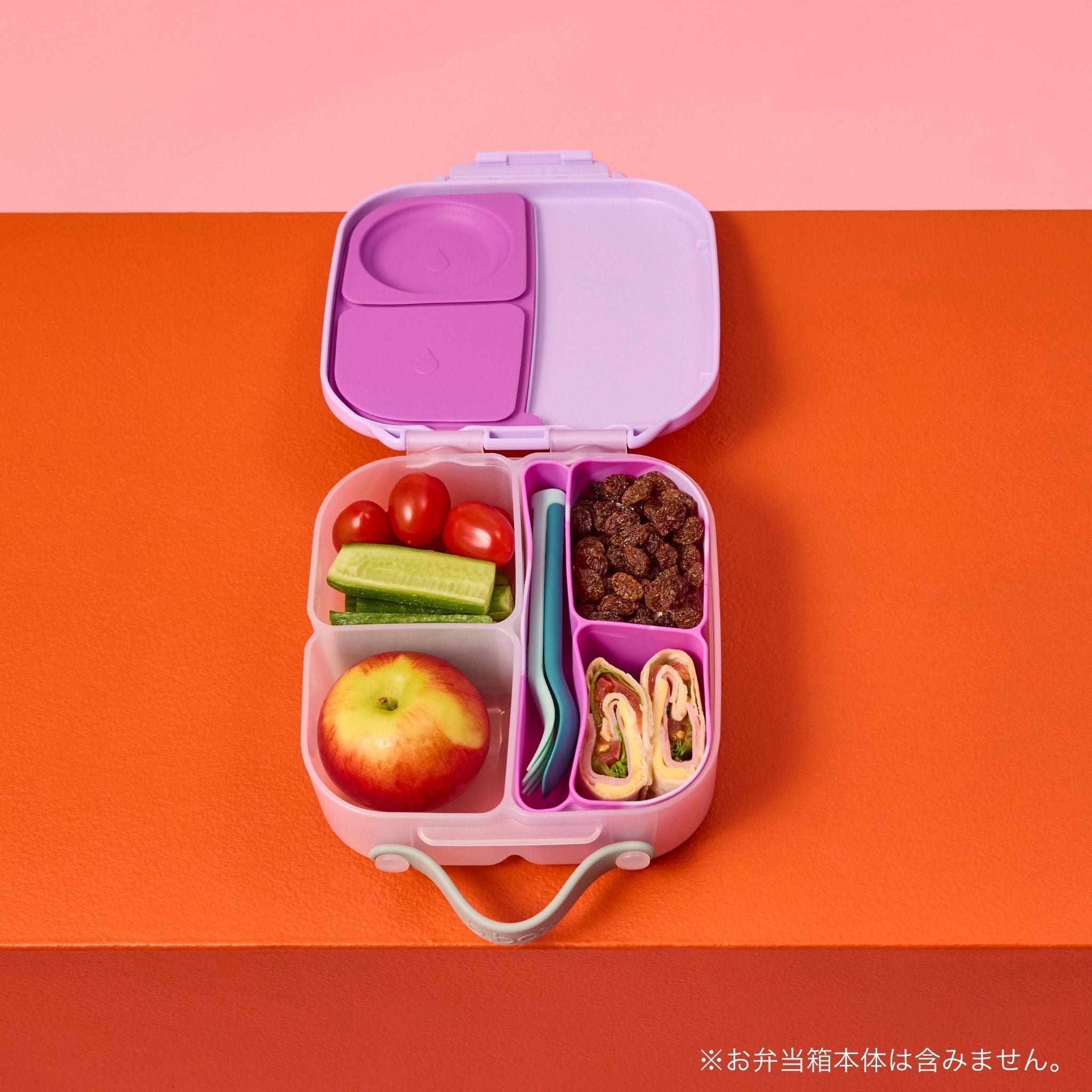 silicone bento tray mini