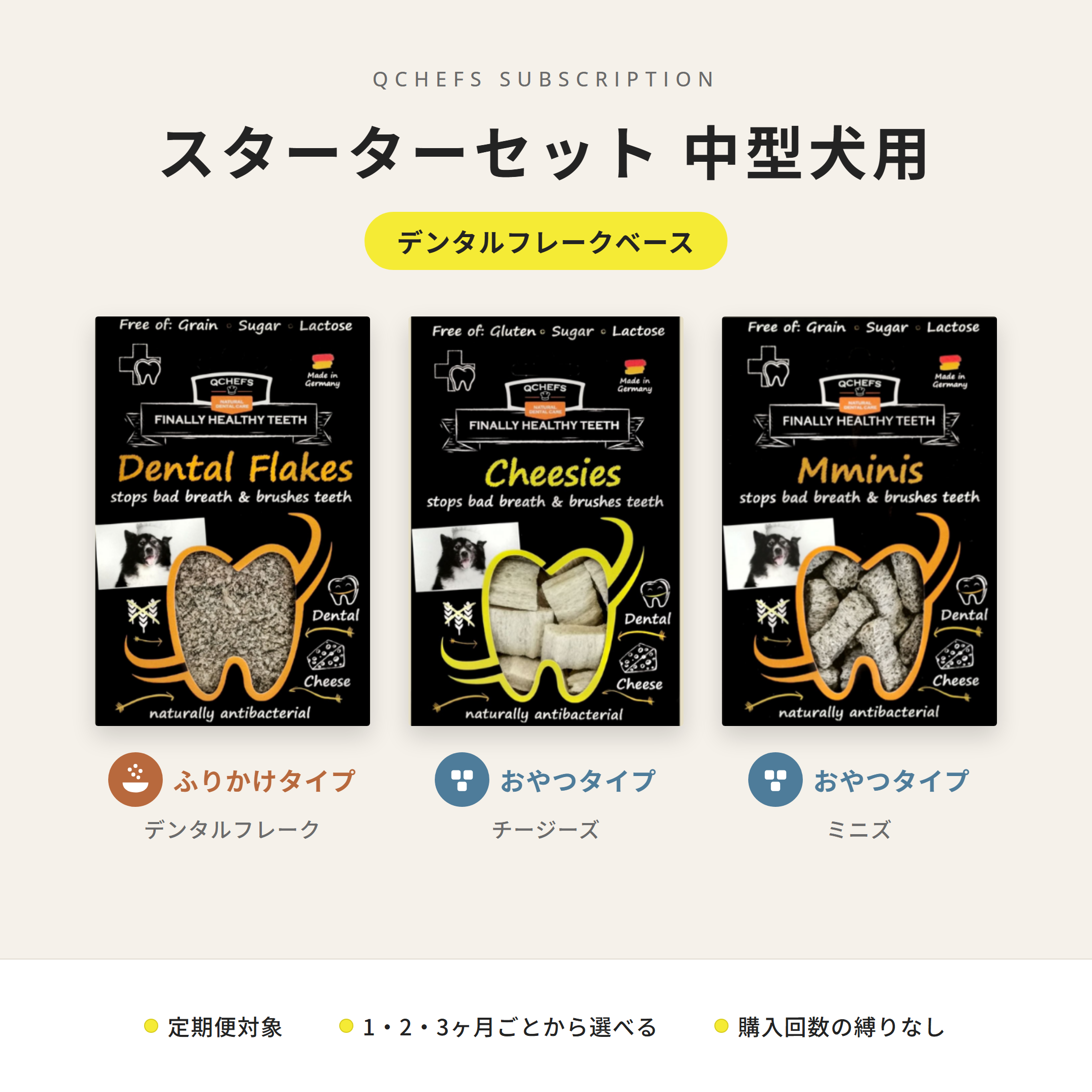 スターターセット 中型犬用