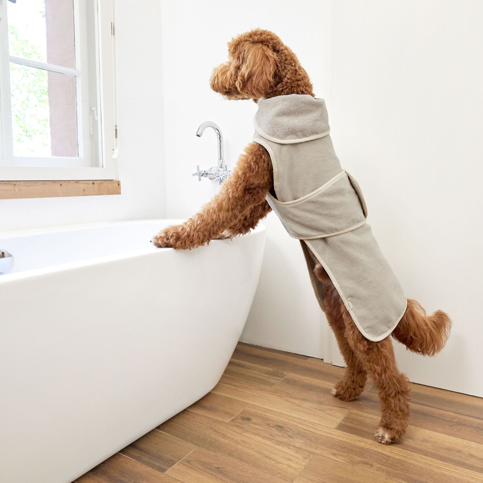 Dog Bathrobe Robi