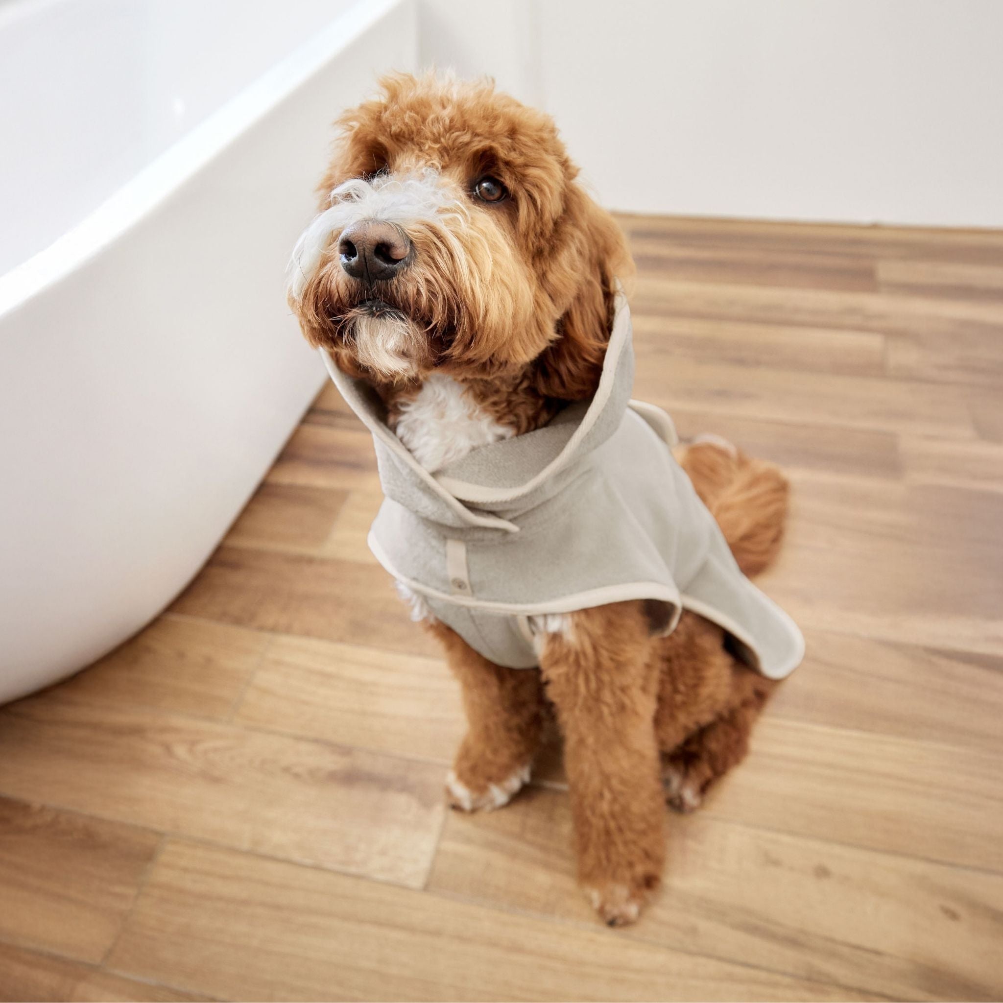 Dog Bathrobe Robi