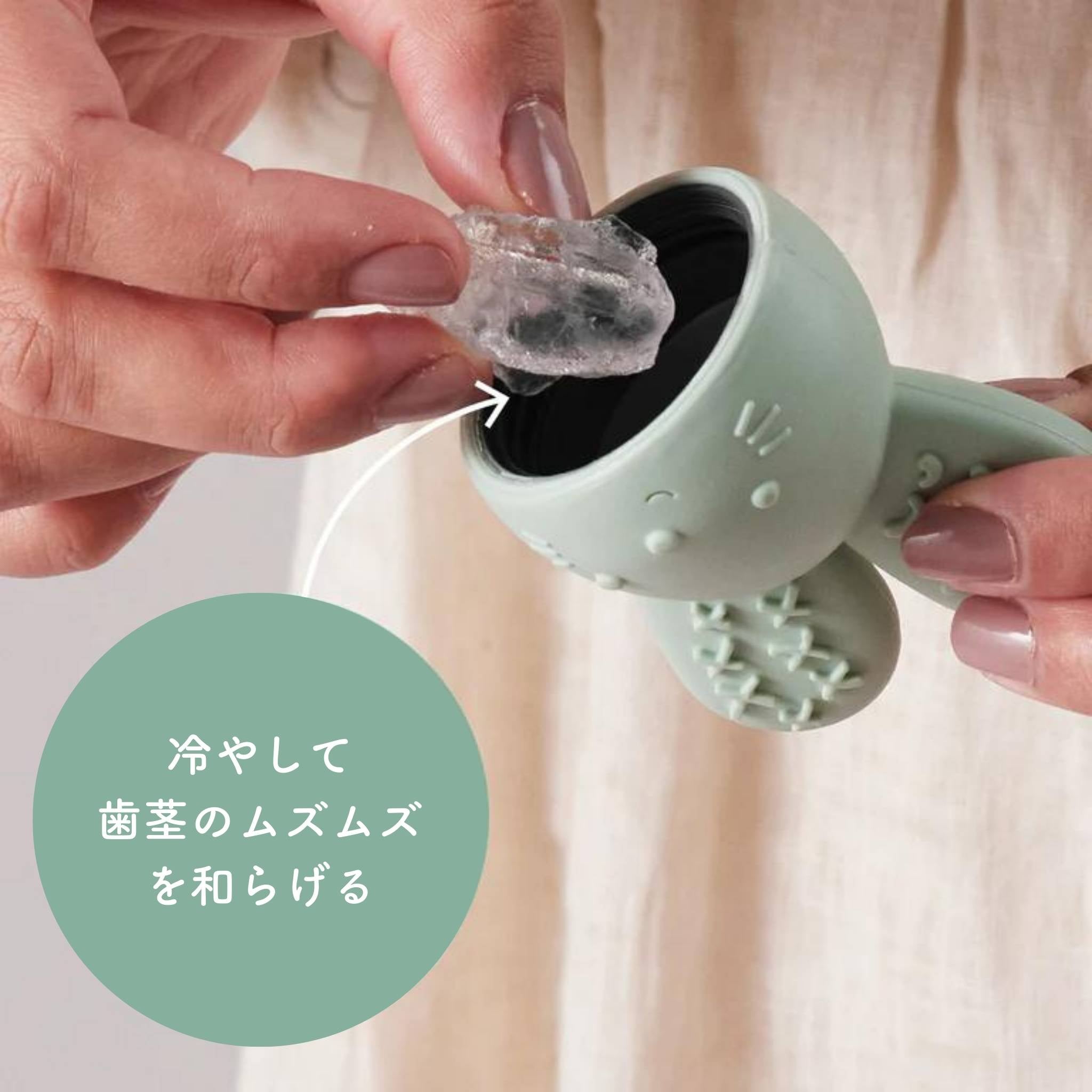 歯固めに中に氷を入れている様子 冷やして歯茎のムズムズを和らげる