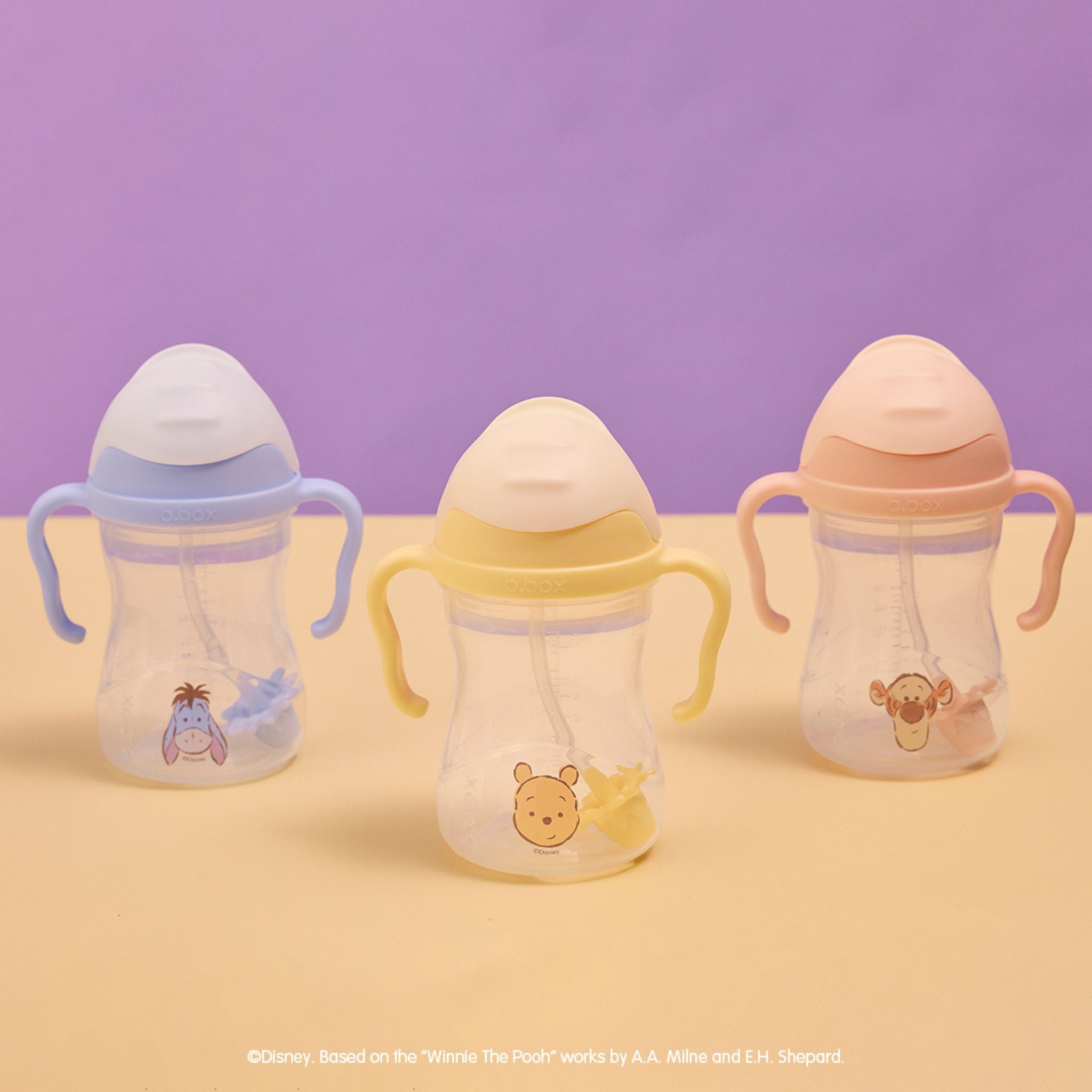 Disney Sippy Cup - WTP100 Pooh