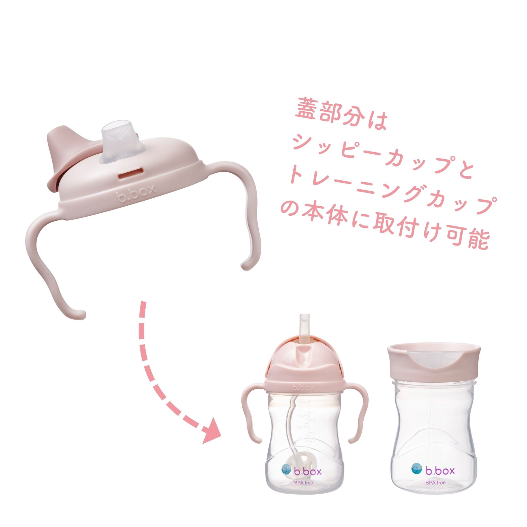 蓋はトレーニングカップやトレーニングカップの本体と互換性あり
